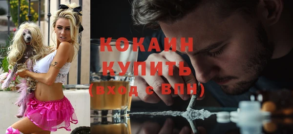 спайс Каменка