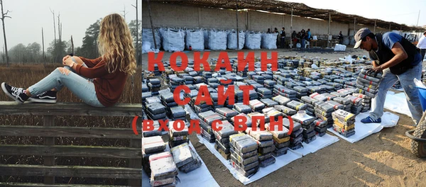 ПСИЛОЦИБИНОВЫЕ ГРИБЫ Каменногорск