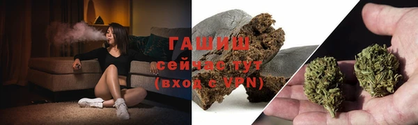 спайс Каменка