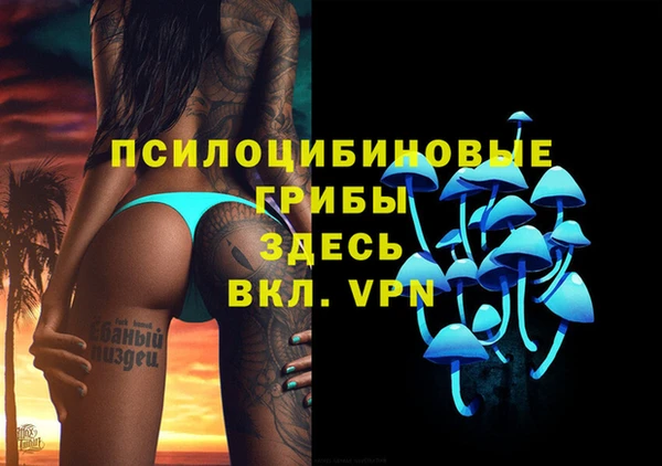 спайс Каменка