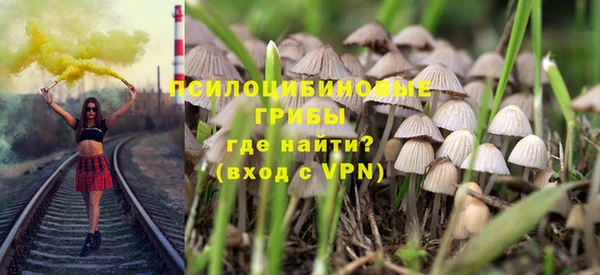 спайс Каменка