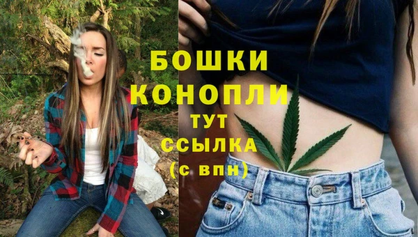 спиды Куртамыш