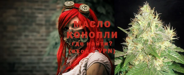 спайс Каменка