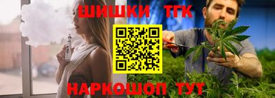 гидра Заводоуковск