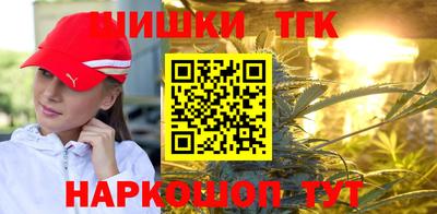 гидра Заводоуковск