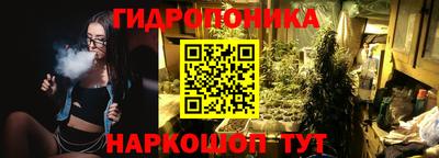 гидра Заводоуковск