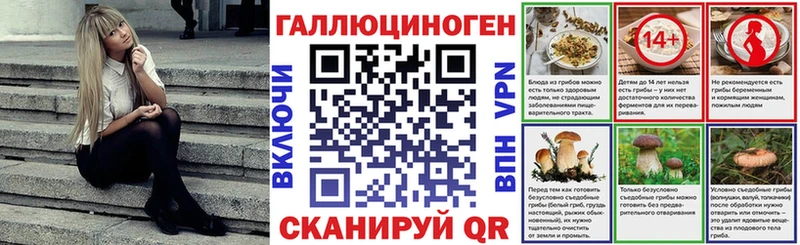 mega Лянтор Псилоцибиновые грибы мицелий